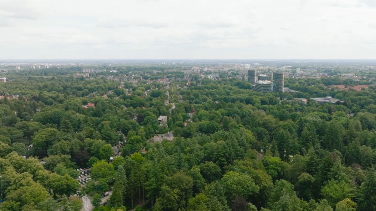 Apeldoorn Partners - drone foto van Apeldoorn met bos